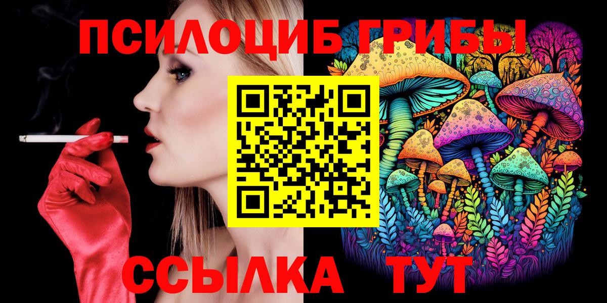 Галлюциногенные грибы Psilocybine cubensis  Вход с VPN  Галлюциногенные грибы Cubensis  Ставрополь 